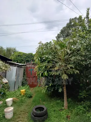 Furnished 2bdrm House in Akaky Kaliti for sale