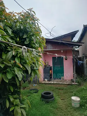 Furnished 2bdrm House in Akaky Kaliti for sale