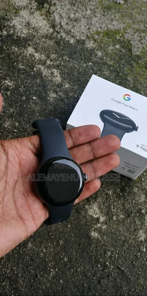 Google Pixel Watch 1