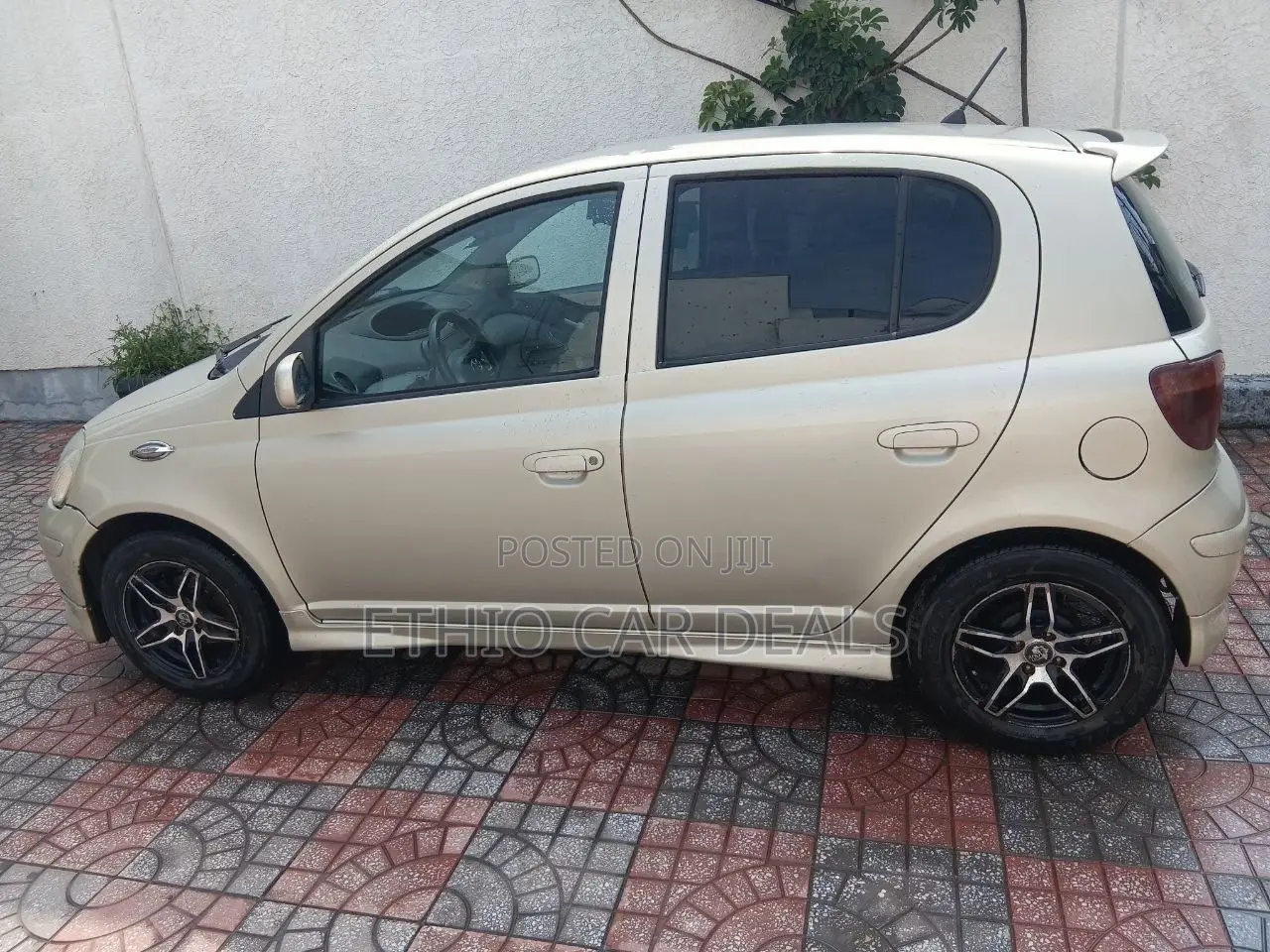 Toyota Vitz 2004 Gold