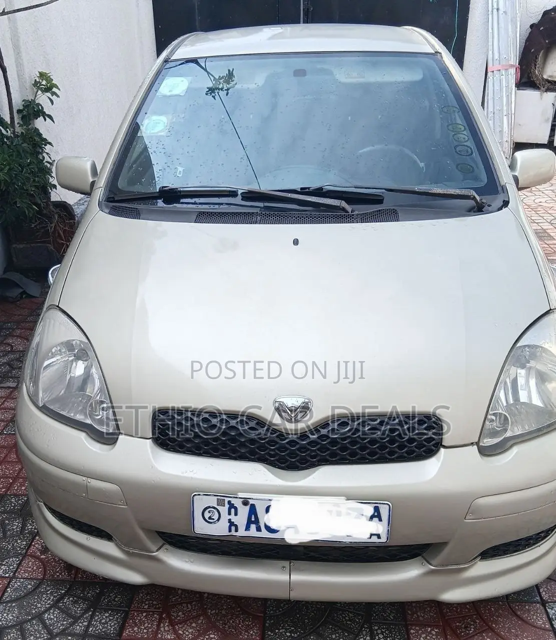 Toyota Vitz 2004 Gold