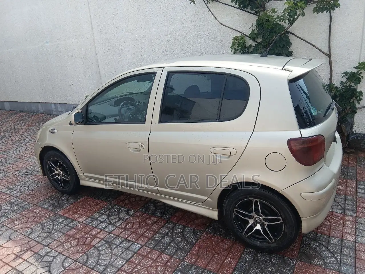 Toyota Vitz 2004 Gold
