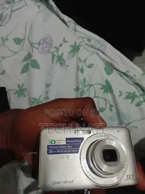 2010 Sony Cybershot