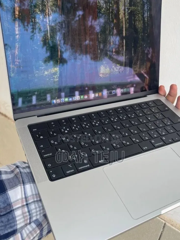 New Laptop Apple MacBook Pro 2024 M4 Max 36GB Apple M4 SSD 512GB