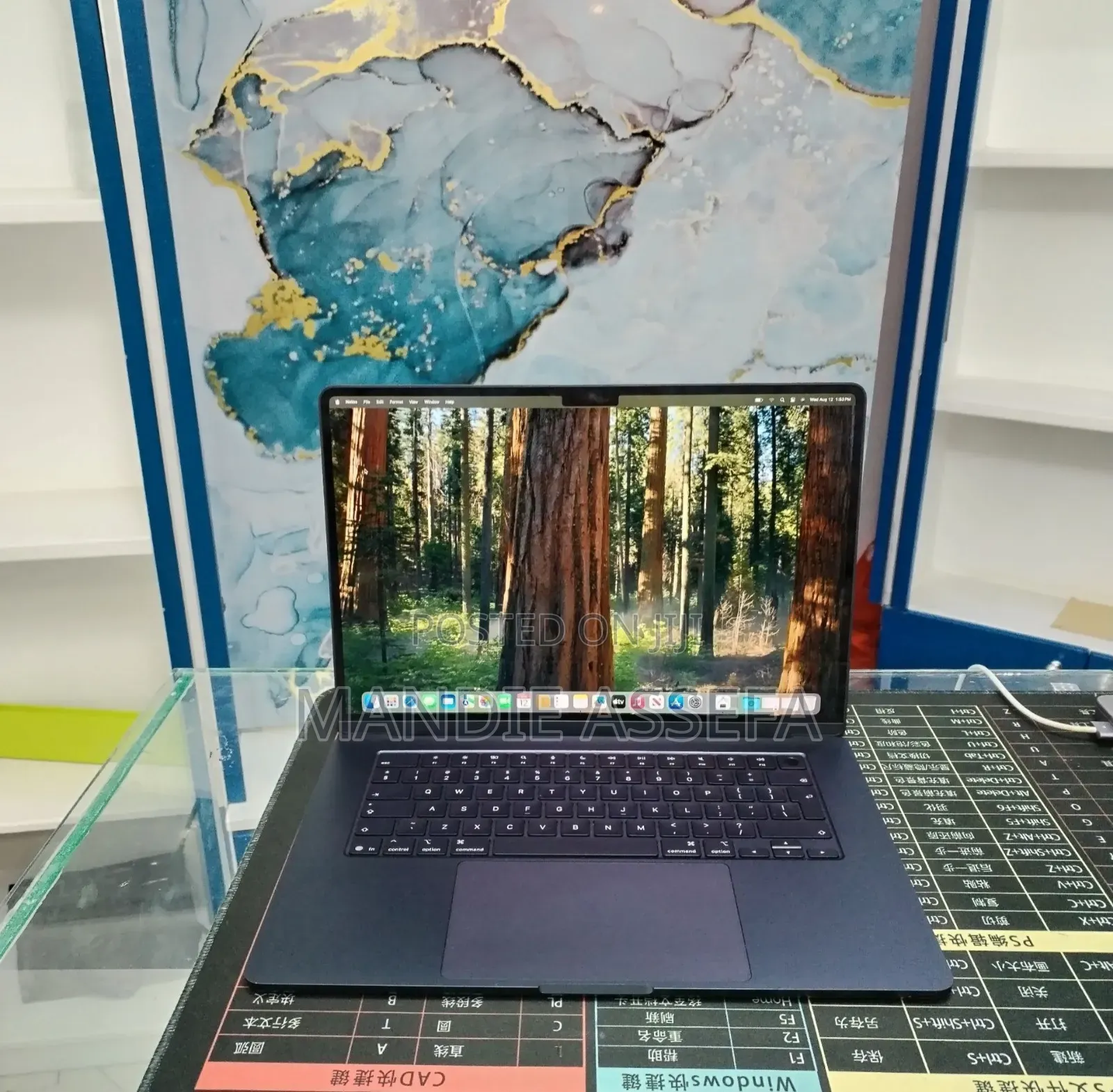 New Laptop Apple MacBook Air 2025 M4 16GB Apple M4 SSD 256GB