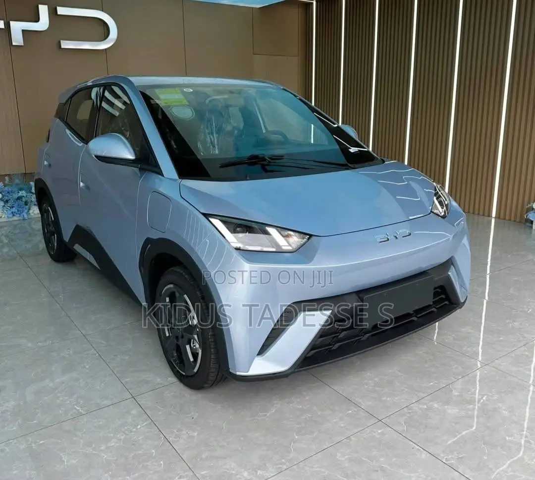New BYD Seagull 2025 Blue