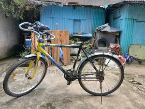 Bicycle and Tricycle