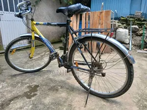 Bicycle and Tricycle