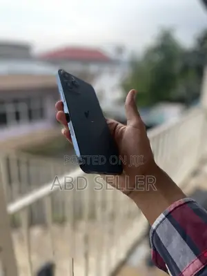Apple iPhone 12 Pro Max 256 GB Blue