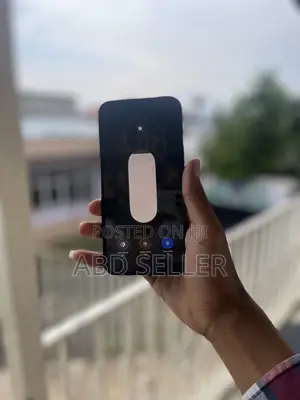 Apple iPhone 12 Pro Max 256 GB Blue