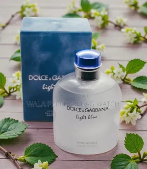 Dolce Gabbana Light Blue Pour Homme