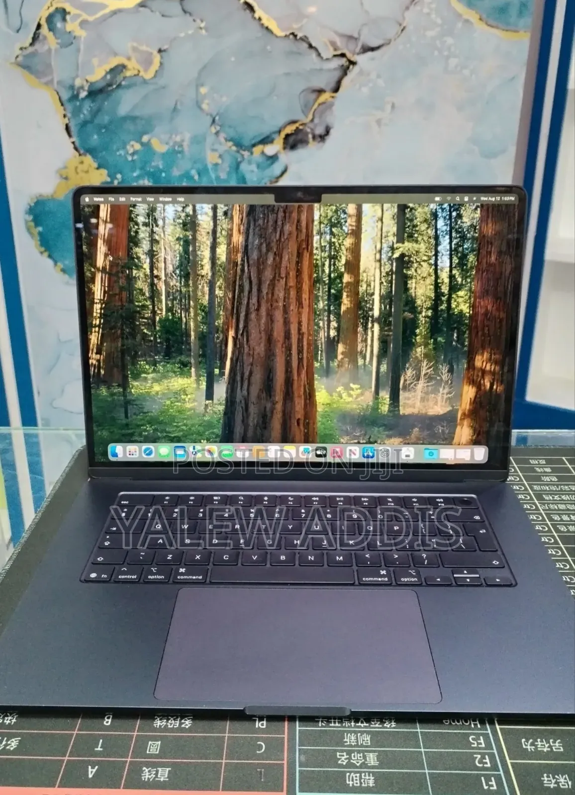 New Laptop Apple MacBook Air 2025 M4 16GB Apple M4 SSD 256GB
