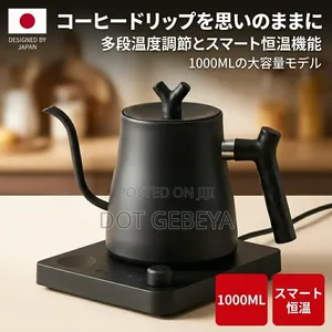  1.0L Stainless Steel Gooseneck Electric Kettle 