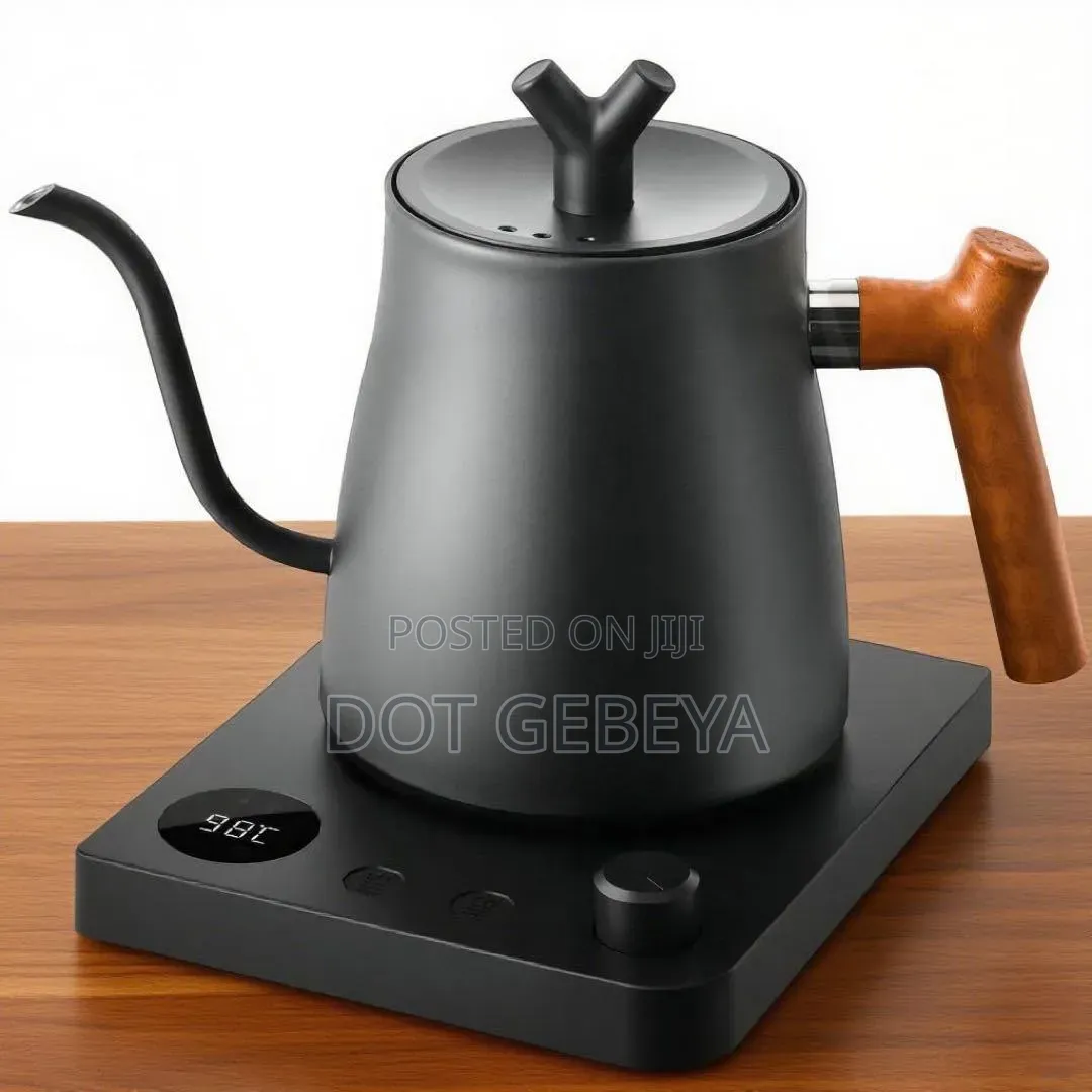  1.0L Stainless Steel Gooseneck Electric Kettle 