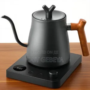  1.0L Stainless Steel Gooseneck Electric Kettle 