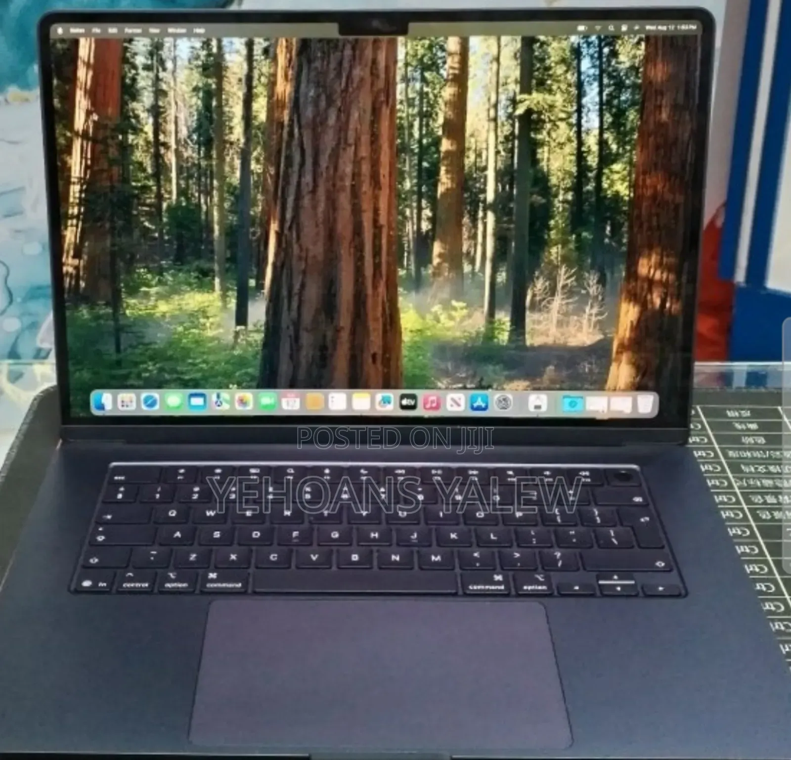 New Laptop Apple MacBook Air 2025 M4 16GB Apple M4 SSD 256GB