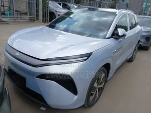 New BYD Tang EV 2025 Silver