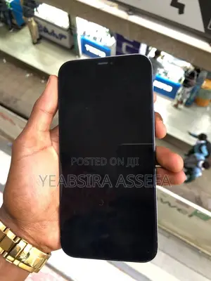 Apple iPhone 12 Pro Max 256 GB Blue
