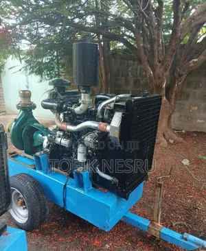 Caprari Industrial Water Pump ለወርቅ ስራና ለትላልቅ እርሻ ስራ ሚሆን