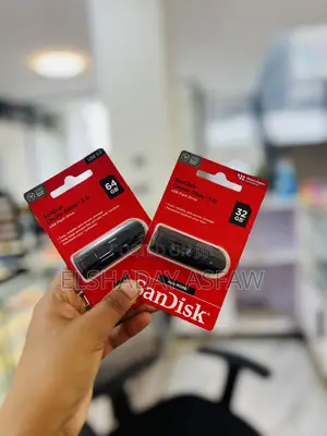 San Disk USB Flash Drive