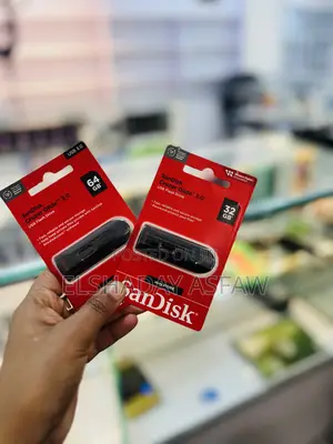 San Disk USB Flash Drive