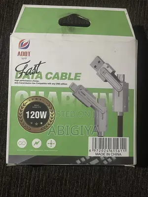 Dual Port Charger