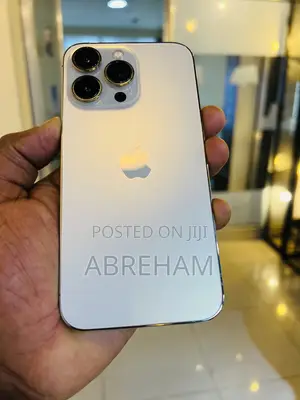 Apple iPhone 15 Pro Max 256 GB Silver