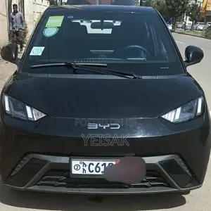 BYD Seagull 2024 Black