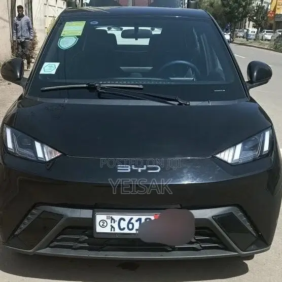 BYD Seagull 2024 Black