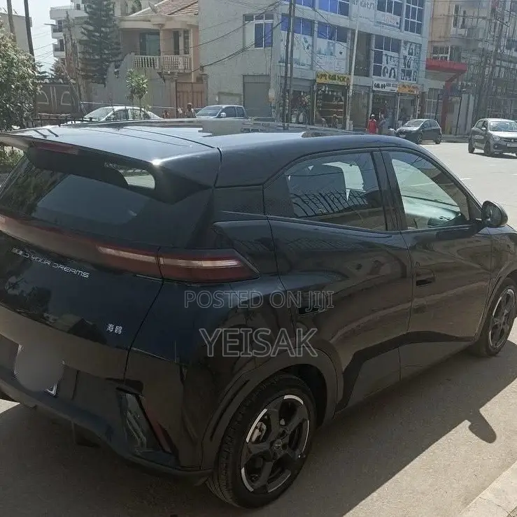 BYD Seagull 2024 Black