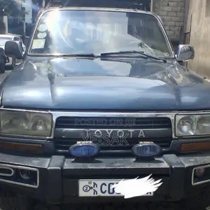 Toyota Land Cruiser 1993 Gray