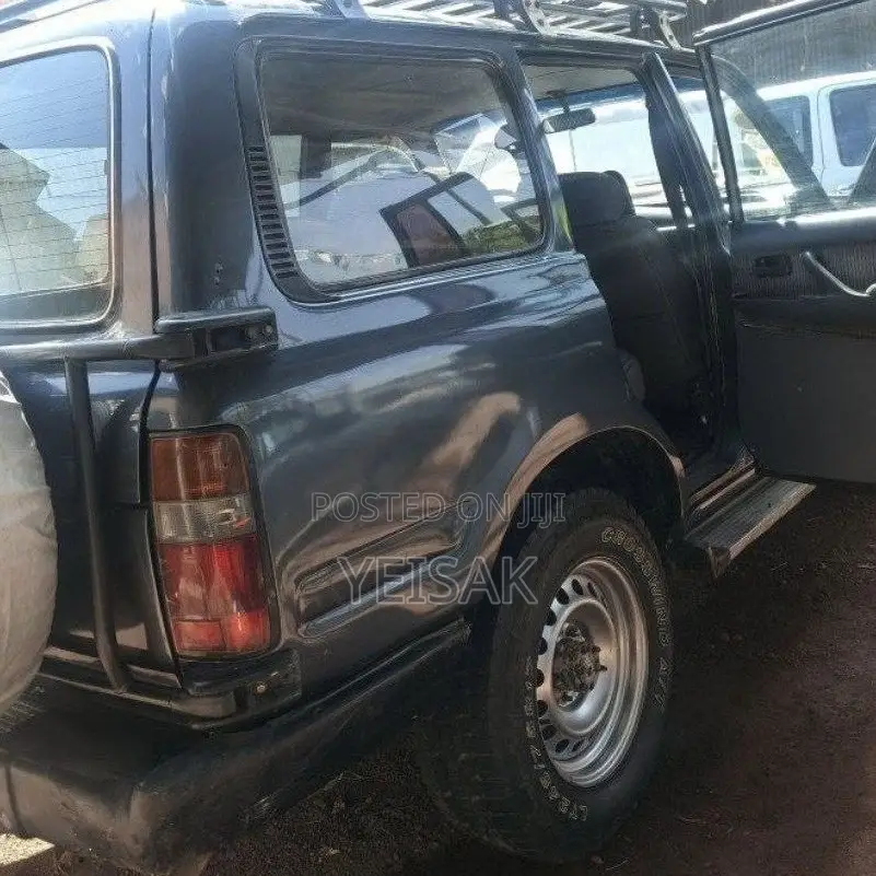 Toyota Land Cruiser 1993 Gray