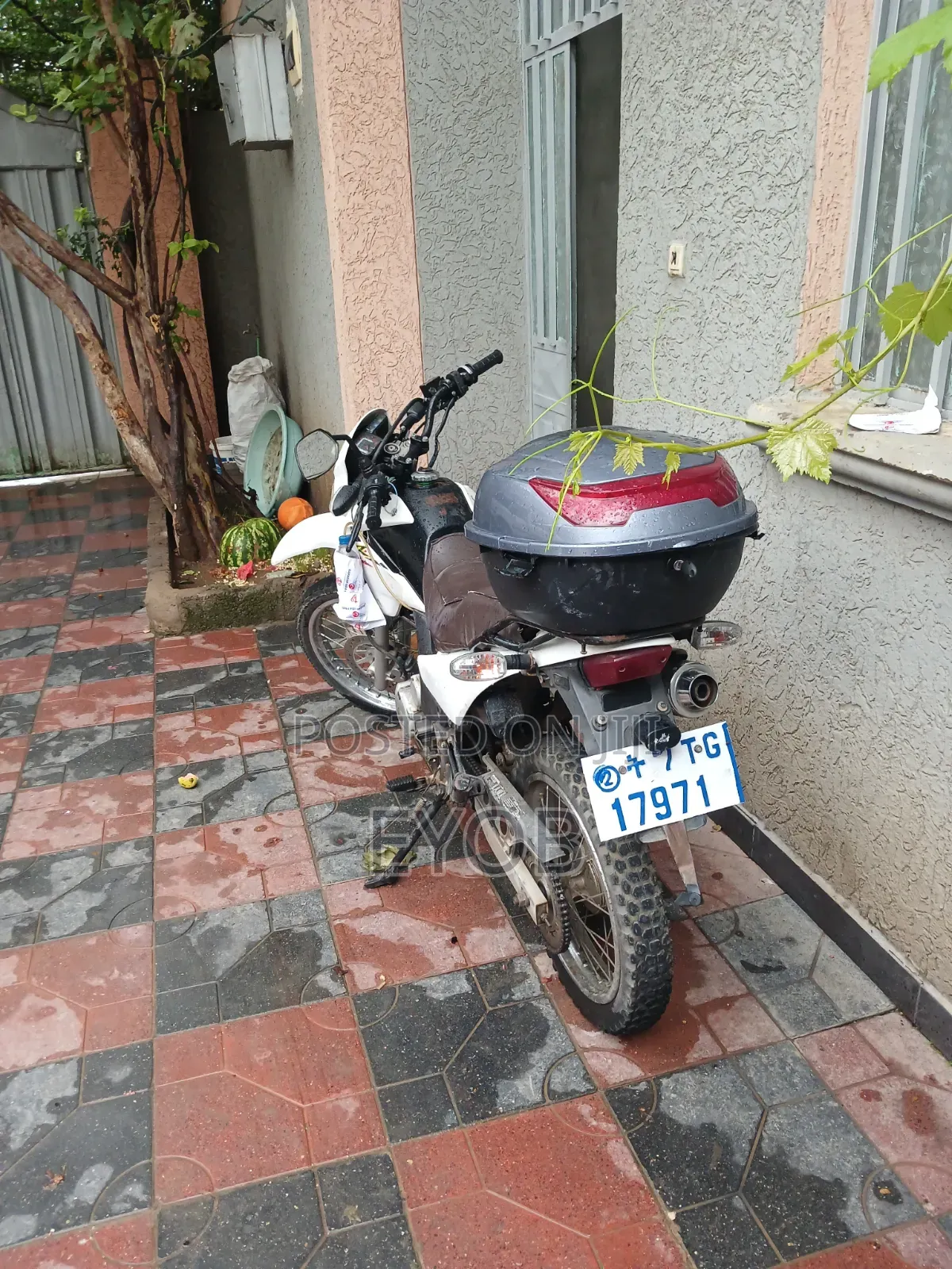 Honda XL 125 2015 White
