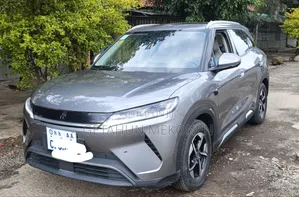 BYD Yuan Up 2025 Gray