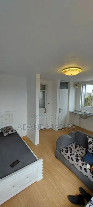 Furnished 1bdrm House in Lideta for sale