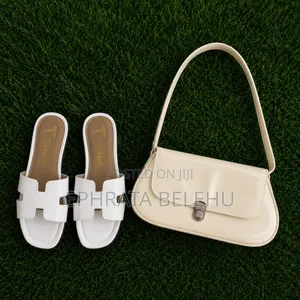 Women's Shoes and Handbag