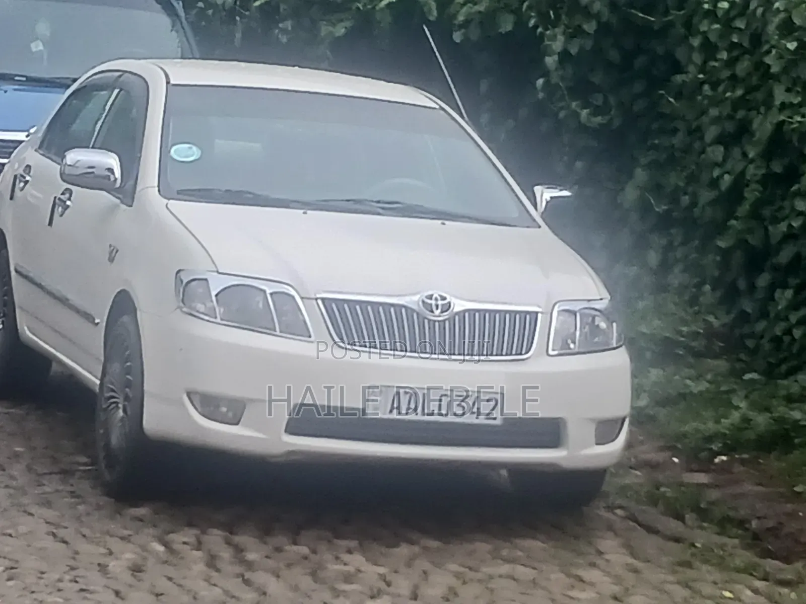 Toyota Corolla 2005 Off white