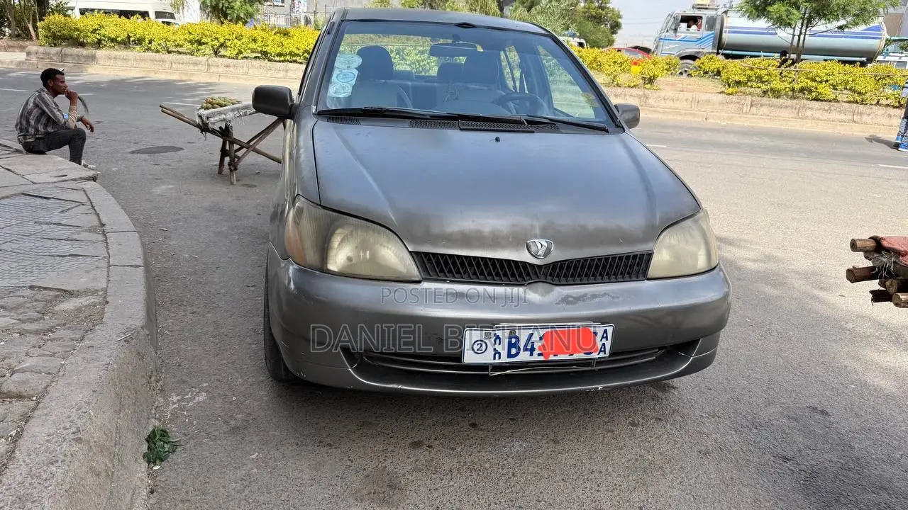 Toyota Platz 2001 Gray