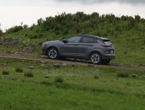 Hyundai Kona Electric 2023 Gray