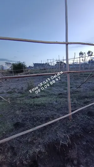 የሚሸጥ 188 ካሬ