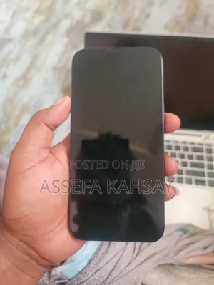 Apple iPhone 15 Pro Max 256 GB Gray