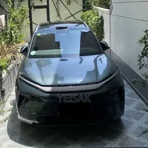 BYD Tang EV 2025 Gray