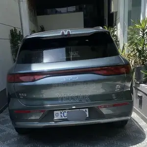 BYD Tang EV 2025 Gray