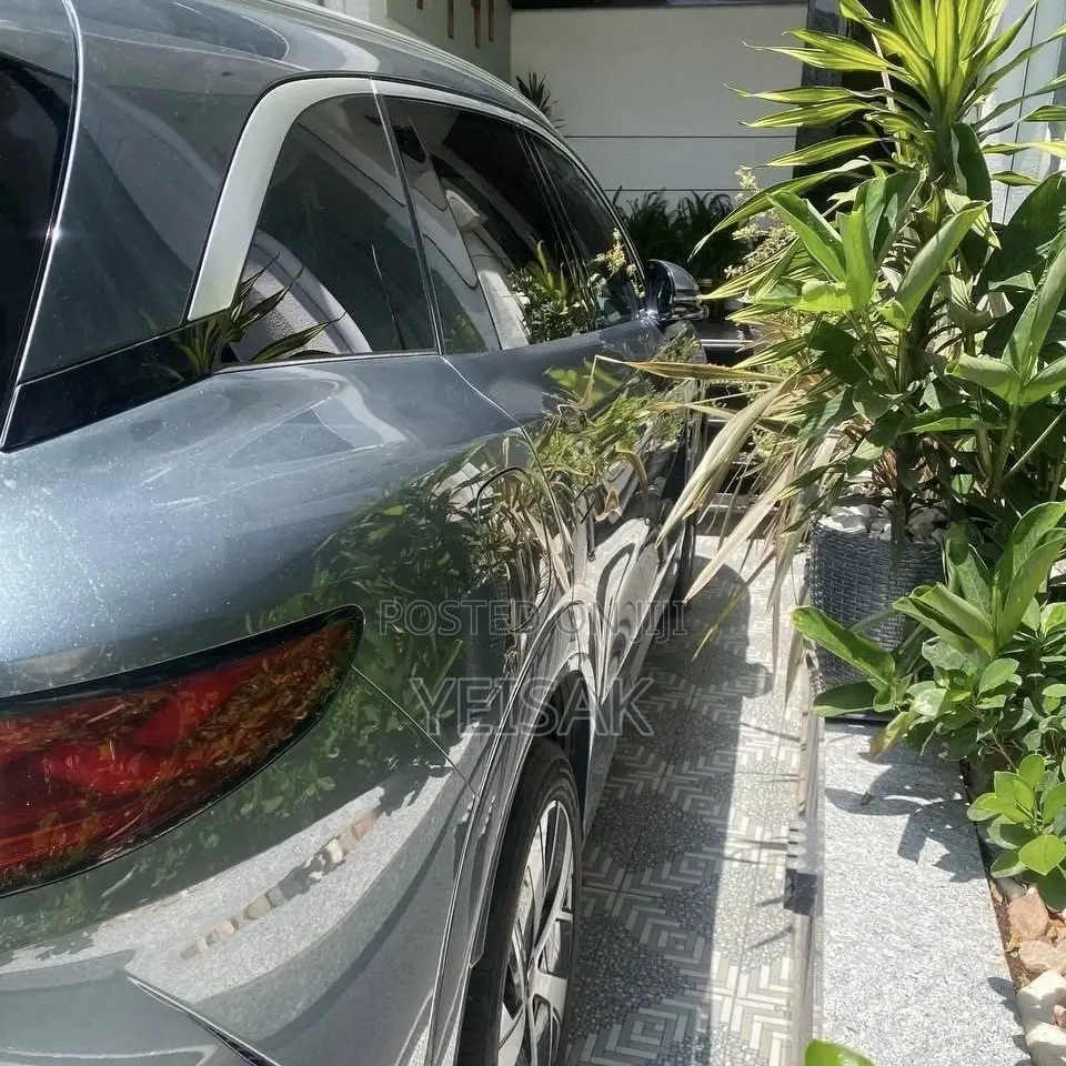 BYD Tang EV 2025 Gray