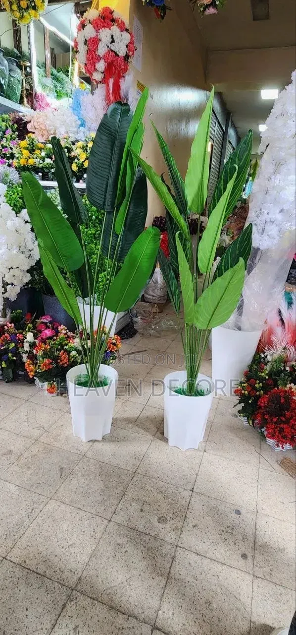 Artificial Plant (ኮባ)
