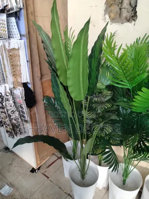 Artificial Plant (ኮባ)