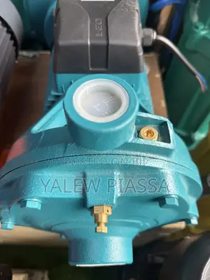 LEO 2ACm150H Centrifugal Water Pump Featuring a 1.5 kW (