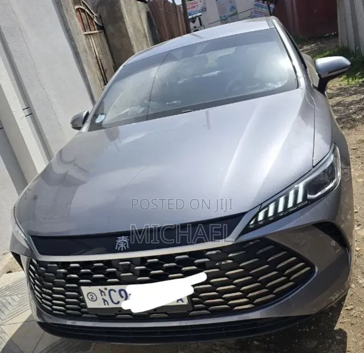 BYD Qin Plus DM-i 2025 Gray