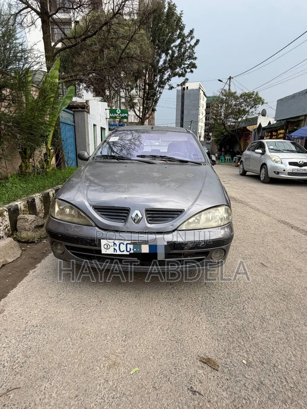 Renault Megane 2003 Gray