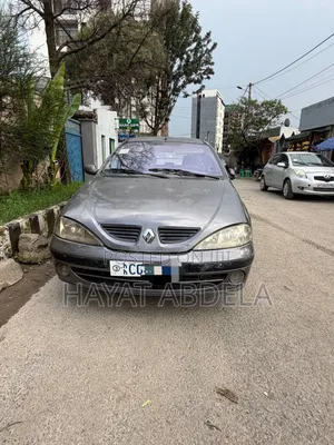 Renault Megane 2003 Gray